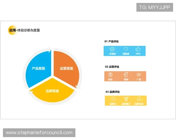 皇家网站登录的安全性分析与用户体验提升方案