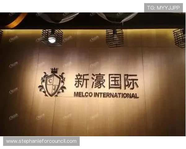 新濠国际发展官网：投资者专属资源与财务报告的及时更新与披露