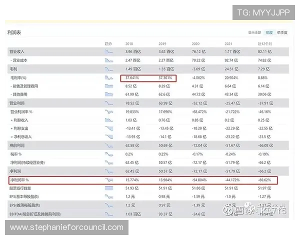 永利澳门有限公司的合作伙伴关系、联盟策略及行业合作前景分析