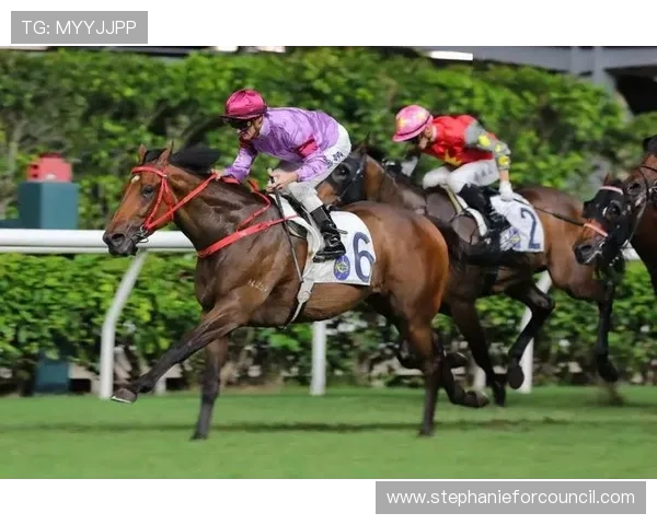 hkjc网娱乐：如何通过香港赛马会官网参与各类线上体育与娱乐赛事